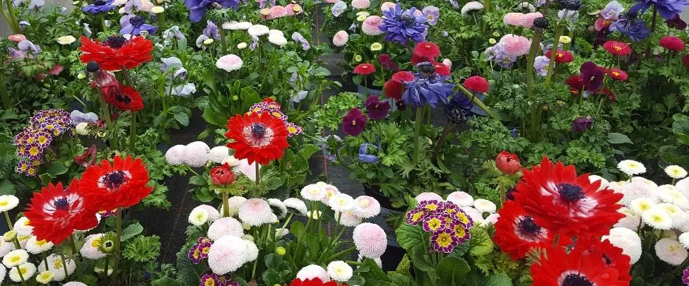 botanical flair