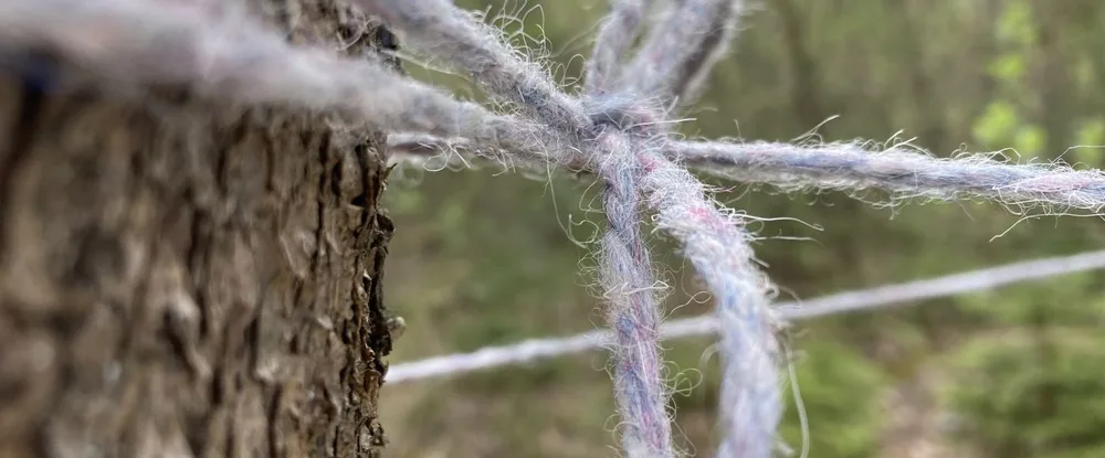 4. kriesten nature & textile week - wachsende installation